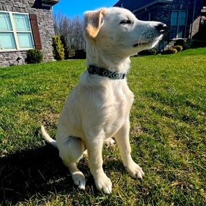 Meet your Posher, Joshua